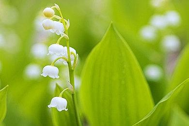 SIE：第一方游戏移植到PC将继续保持“谨慎”